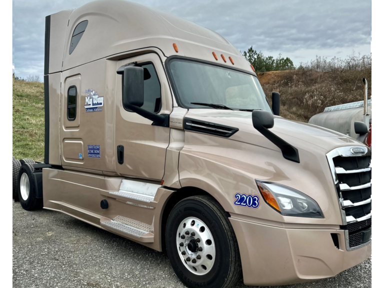 <h3 style="text-align:center"><b> 2203 - 2019 Freightliner Cascadia</b></h3>