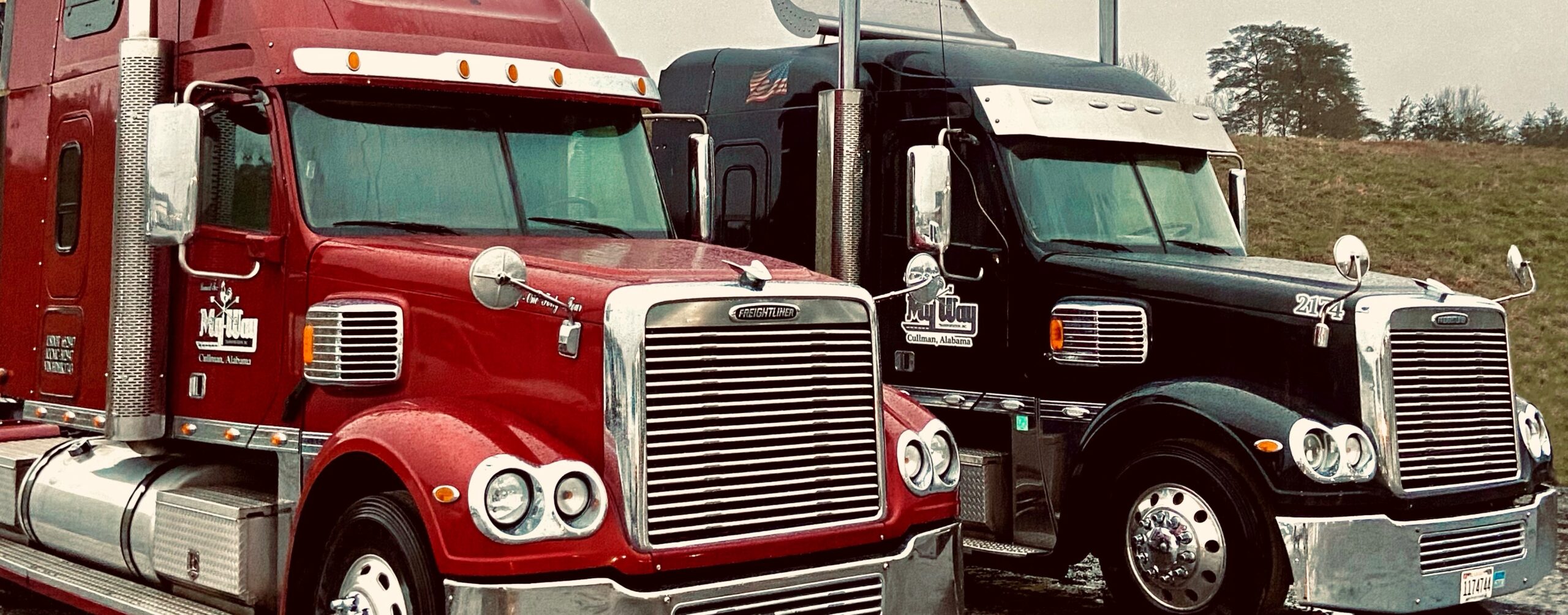 IMG_9006 trucks_lp